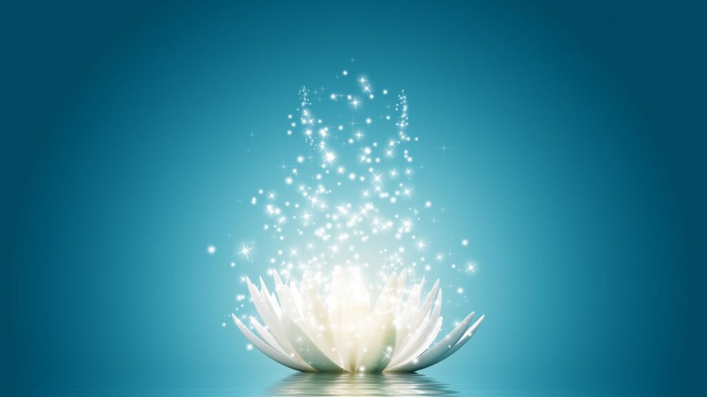 lotus zen s'illuminant de bien-être