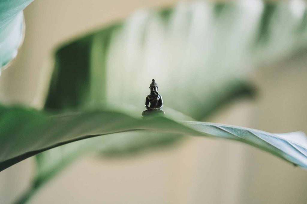 bouddha zen sur une feuille de plante